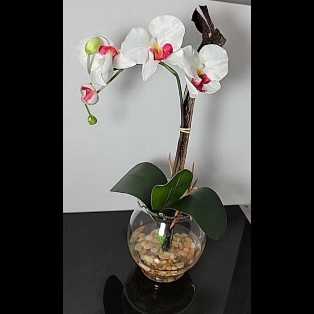 Nearly Natural 1277-WH Mini Phalaenopsis with Fluted Vase Silk Flower Arrangemen